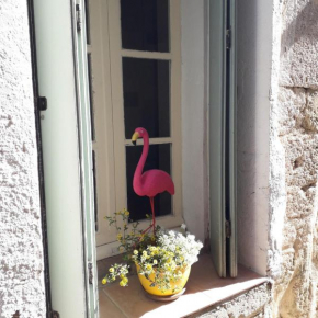 Maison Flamingo